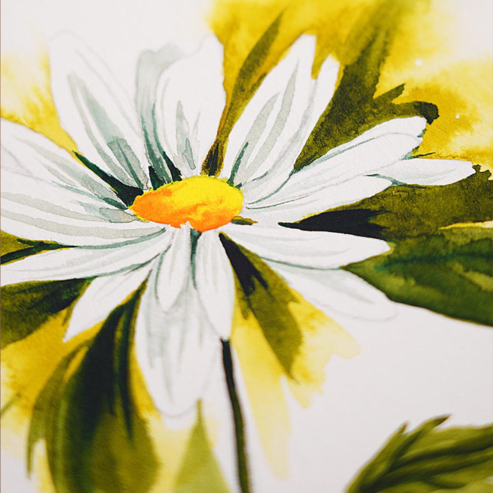 Tracé Marguerite à l'aquarelle