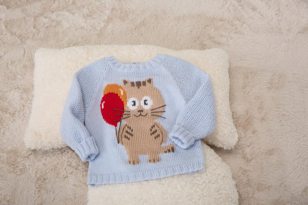 Pull raglan en jacquard Illian avec imprimé de chat