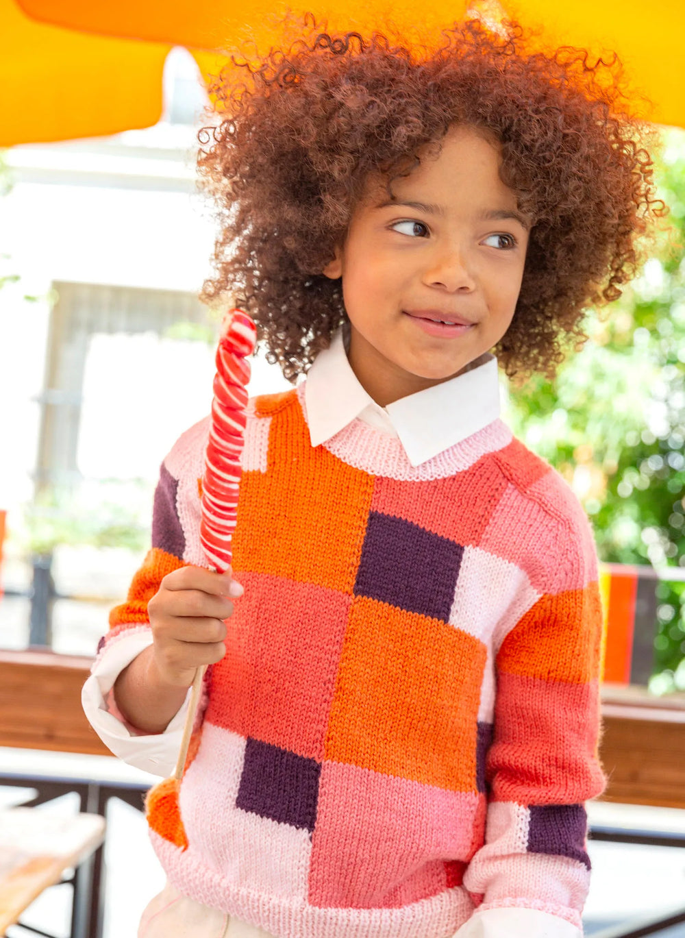 Bergère de France Canada - Isabela hammer - sleeve jacquard sweater