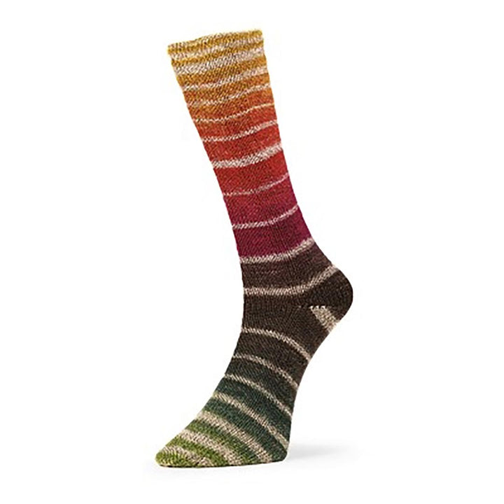 Evolution Aurora Sock