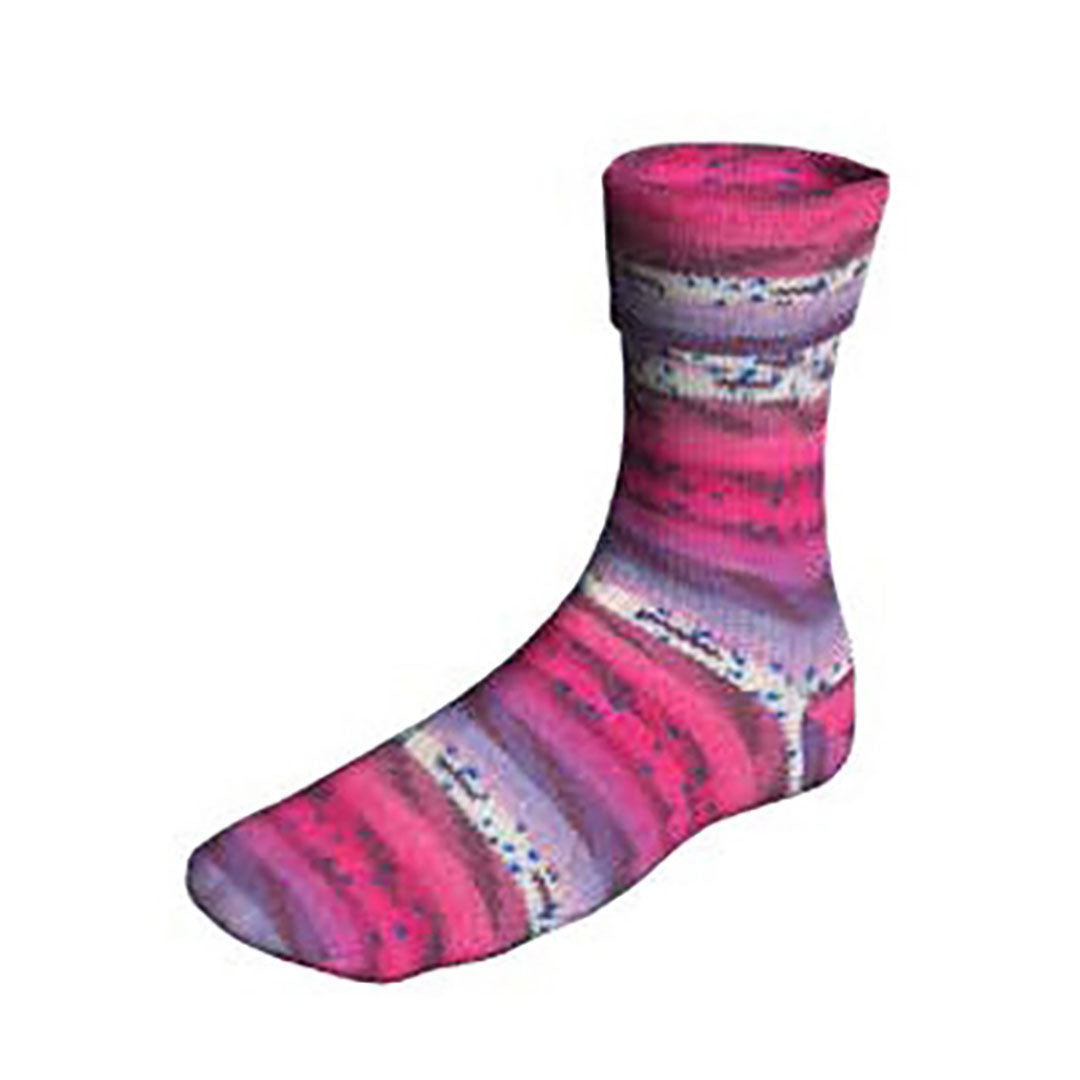 Supersoxx Color 4 ply - Cake Soxx