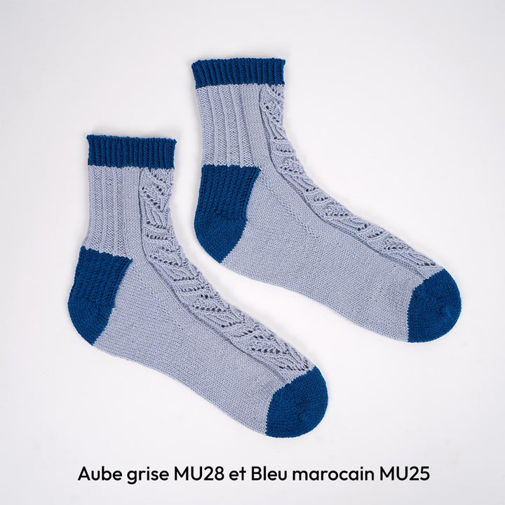 Patron Les chaussettes Jardin secret