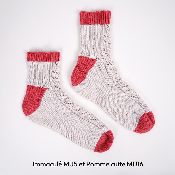 Patron Les chaussettes Jardin secret
