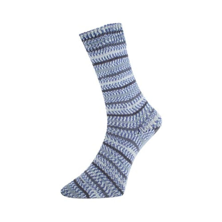 Fjord Sock Arctic