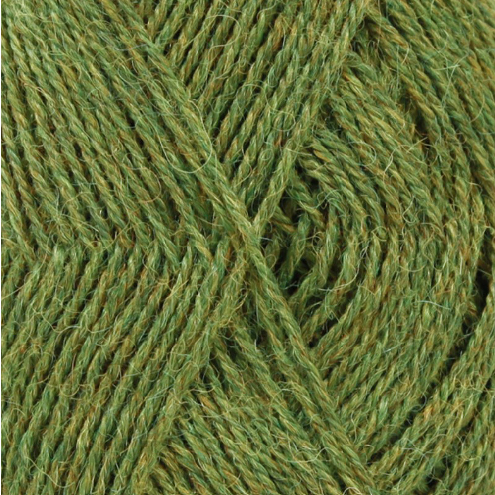 Alpaca