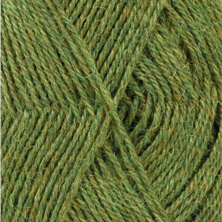 Alpaca