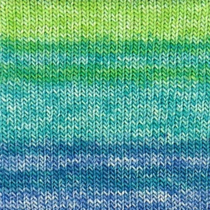 Evolution Sock