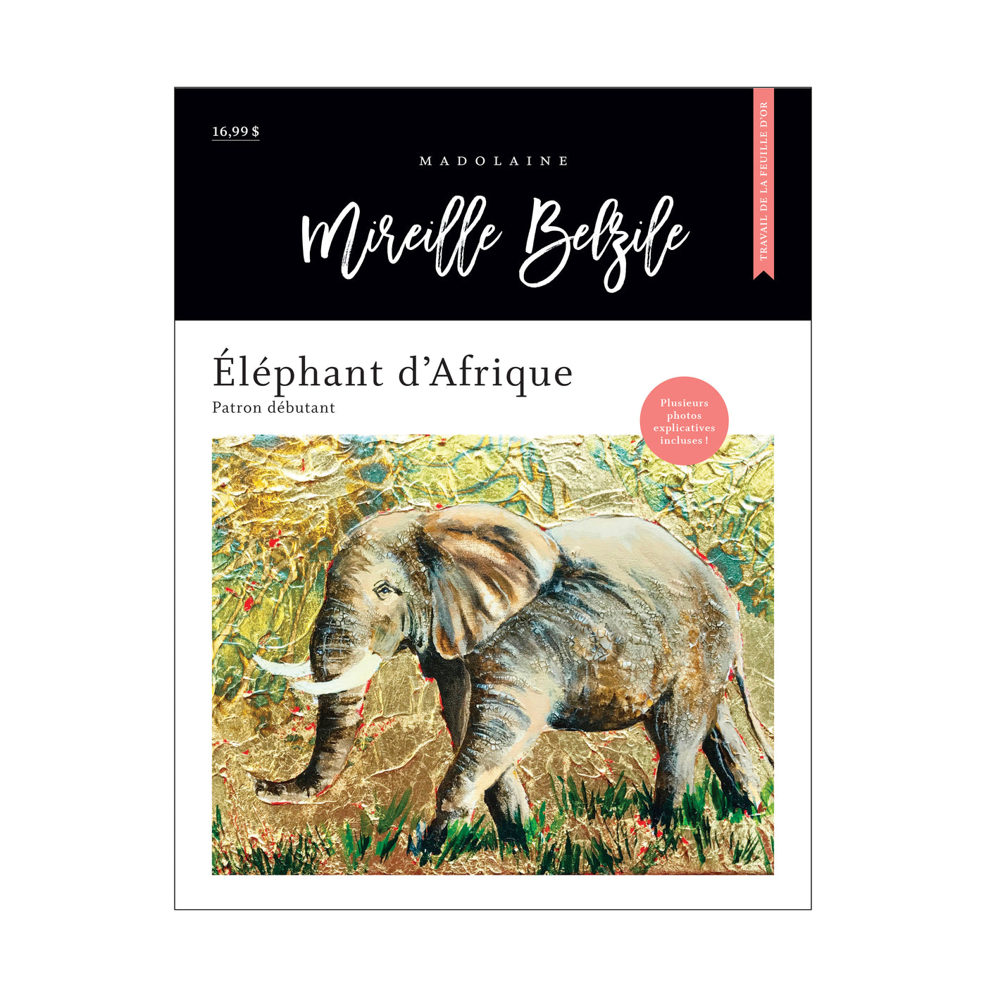 Patron peinture M - «Éléphant d'Afrique» de Mireille Belzile (Version web)