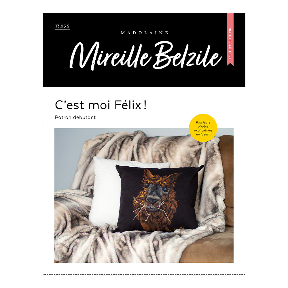 Patron peinture M - «C'est moi Félix!» de Mireille Belzile (Version web)
