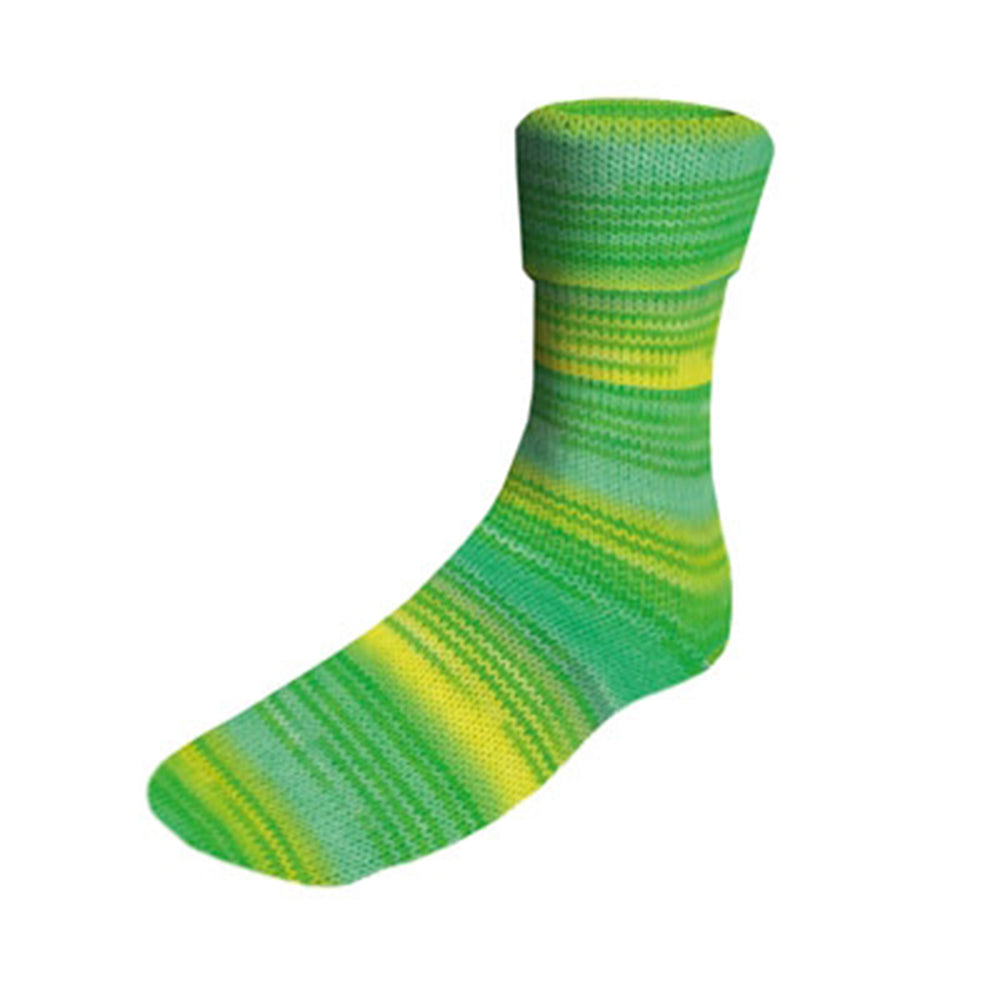SuperSoxx color - 4 ply