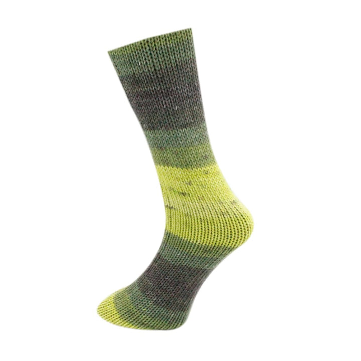 Socken Wolle - 8 ply P/22 - Ferner Wolle