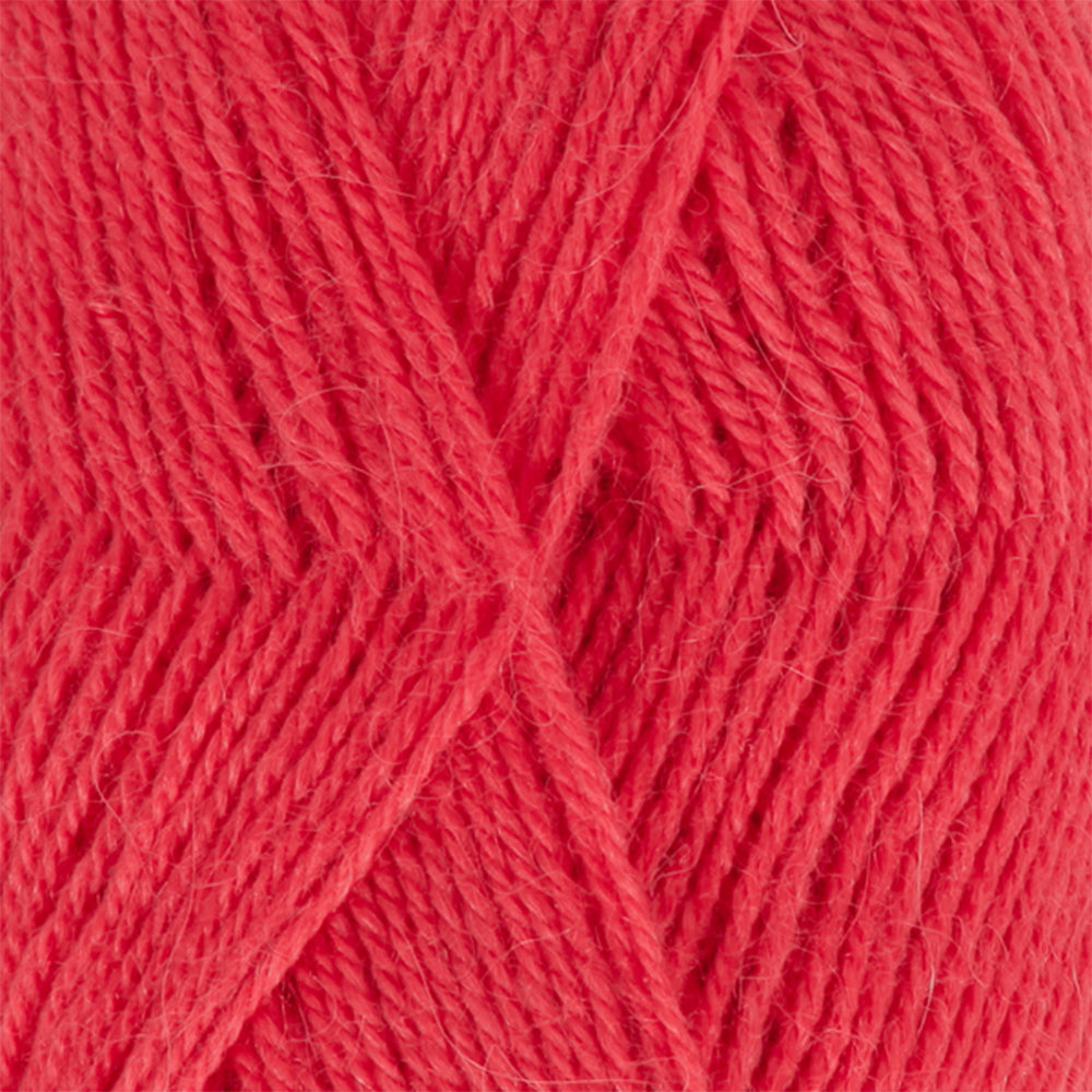 Alpaca