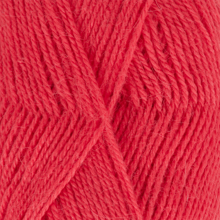 Alpaca